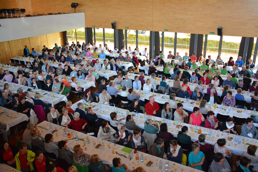Mohi besucher _1 von 1_.jpg