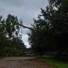 AFP_GY4S9.jpg