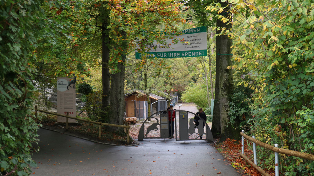KOE_Wildpark Tierpaten Oktober 1.jpg