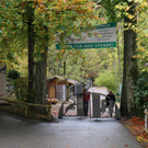 Tierpaten Oktober 2016
