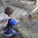 KOE_Wildpark Tierpaten Oktober 12.jpg
