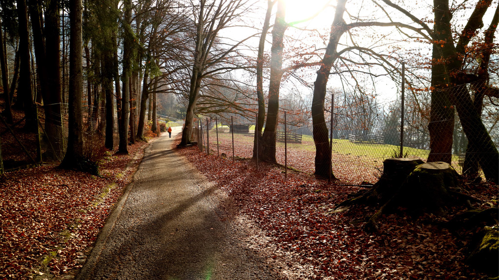 KOE_Wildpark Tierpaten Oktober 15.jpg