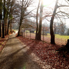 KOE_Wildpark Tierpaten Oktober 15.jpg