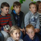 Volksschule Sulz in der Bücherei