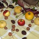 DSC_0701 Kopie.jpg