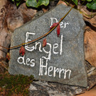 DSC_0708 Kopie.jpg