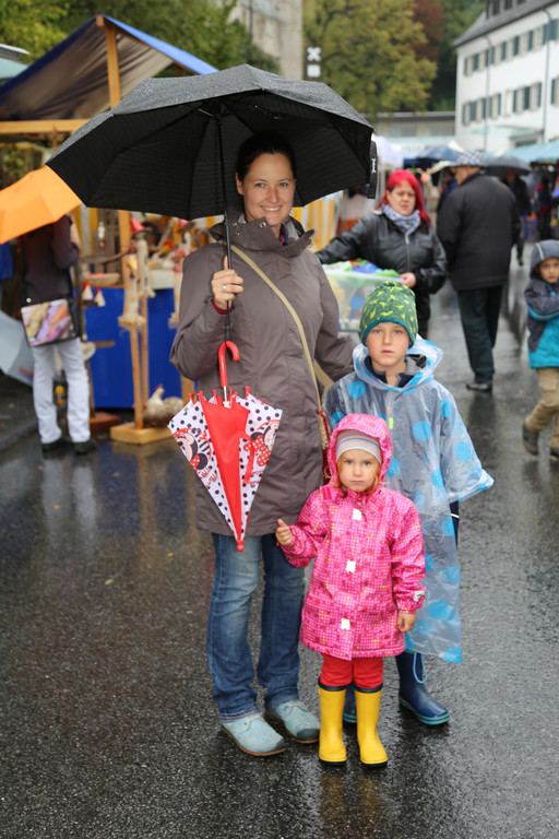 IMG_7851.JPG