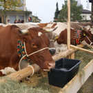 DSC01101.JPG
