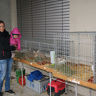 DSC01133.JPG