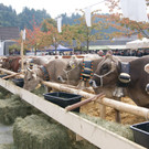 DSC01194.JPG