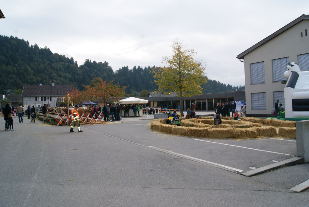DSC01200.JPG