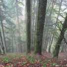 IMG_6613.JPG
