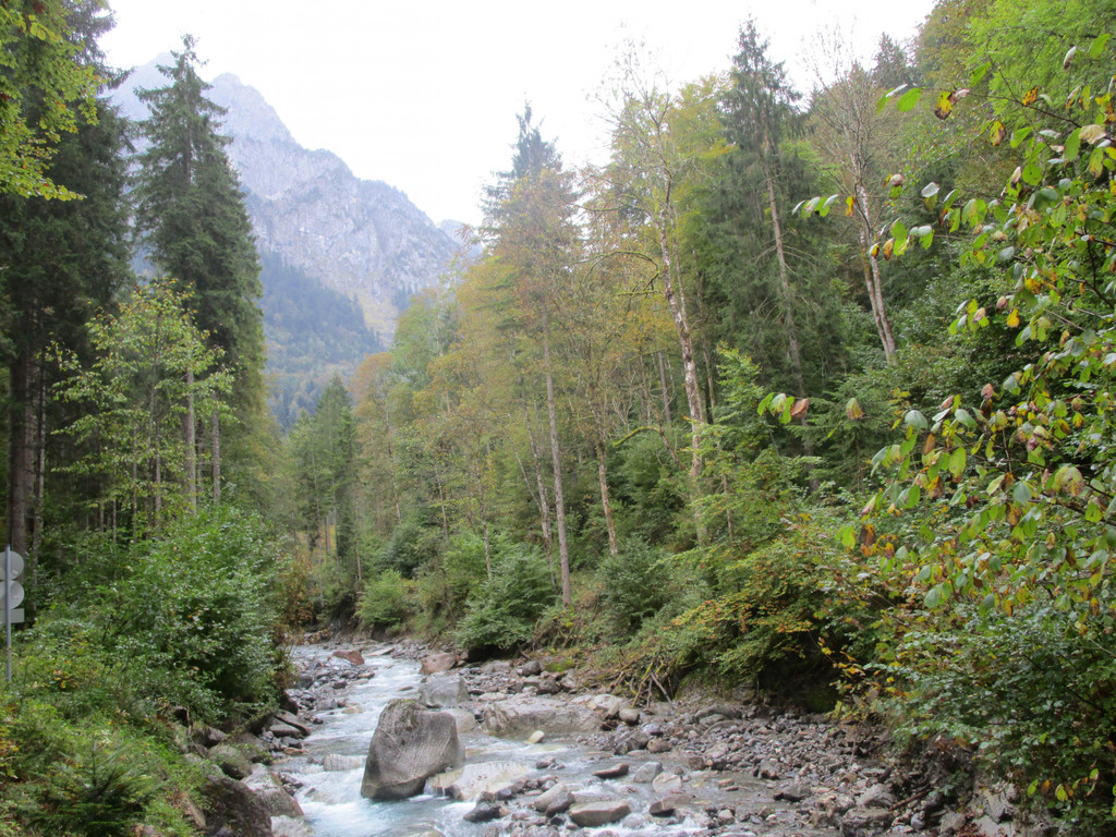IMG_6657.JPG