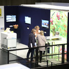 IMG_7782.JPG