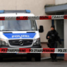 AFP_GZ466.jpg
