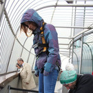 IMG_4750.JPG
