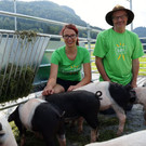 Hühner und Schweinebereich in Tufers