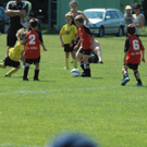 U8 Tunier