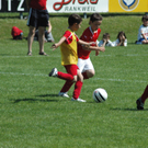 DSC_7336_jpg-1277699298