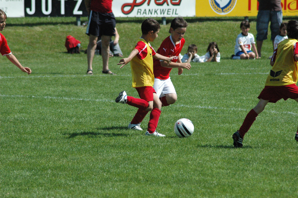 DSC_7336_jpg-1277699298