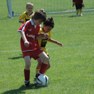 DSC_7339_jpg-1277699308