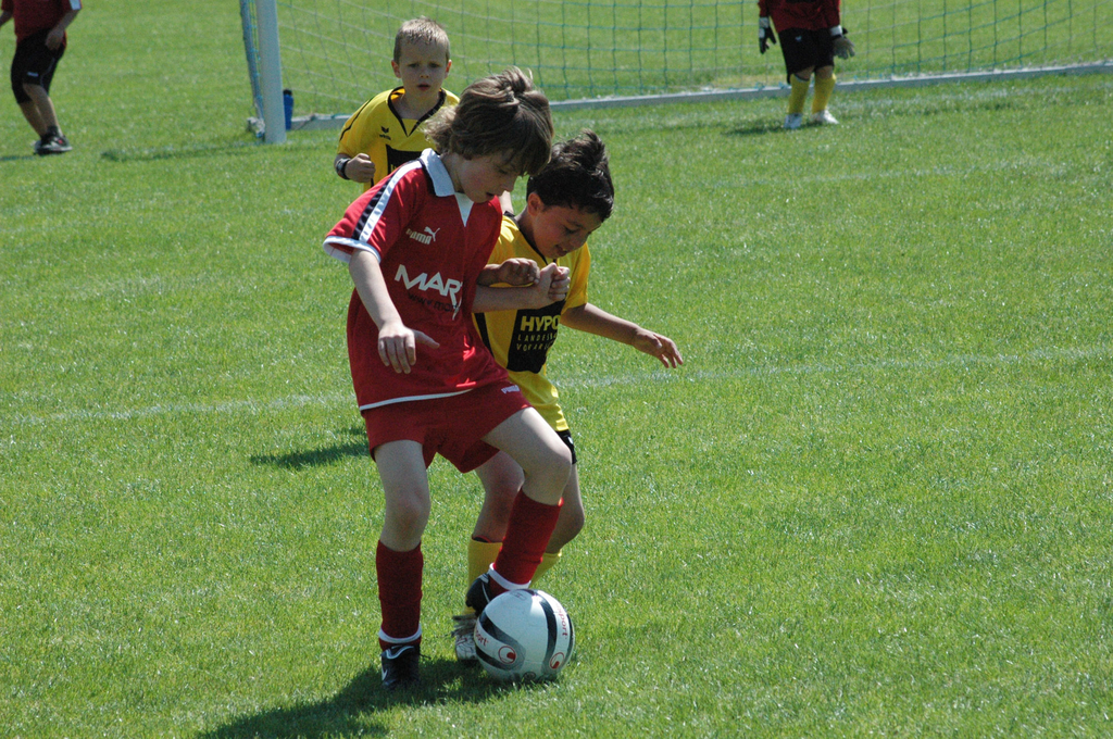 DSC_7339_jpg-1277699308