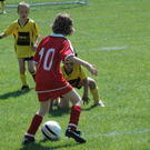 DSC_7340_jpg-1277699318