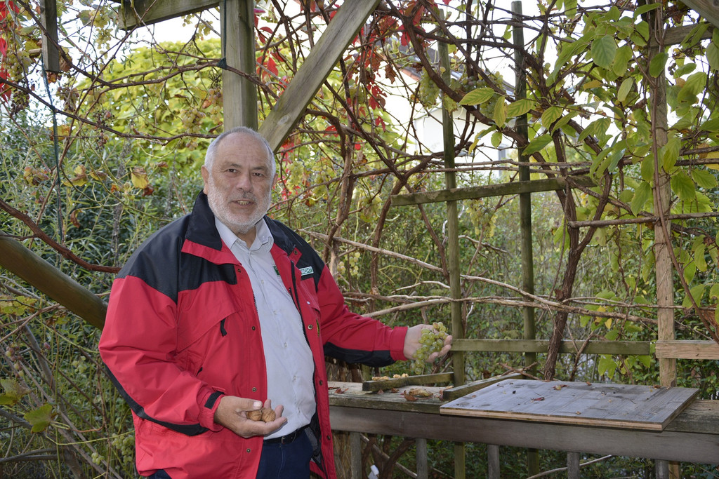 Laube als Sitzpl_.JPG