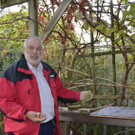 Laube als Sitzpl_.JPG