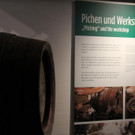 IMG_1103.JPG