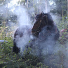 IMG_6085.JPG