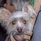 Bunsn Patty Party - 12_10_2016-27.JPG