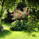 DSC00590_JPG-1277708843