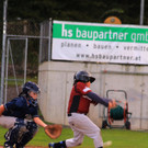 cardinals 00110.JPG