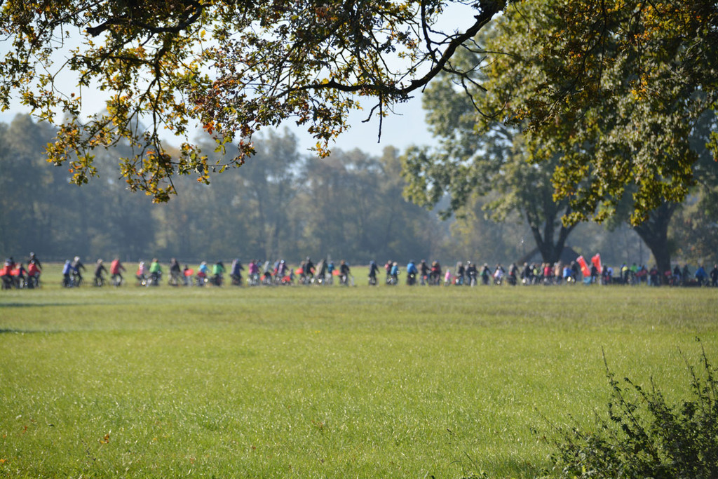 ried _41 von 72_.jpg