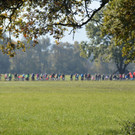 ried _41 von 72_.jpg