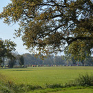 ried _42 von 72_.jpg