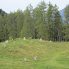 IMG_6762.JPG