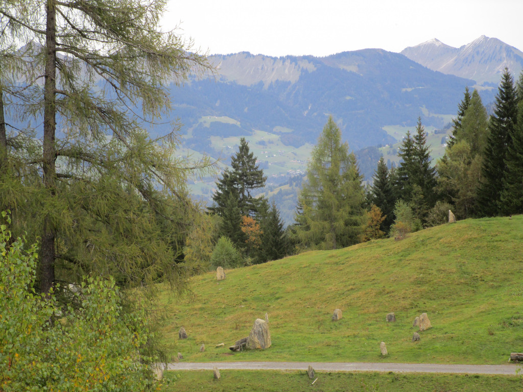 IMG_6782.JPG