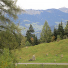IMG_6782.JPG