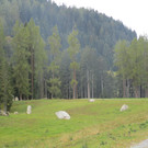IMG_6787.JPG