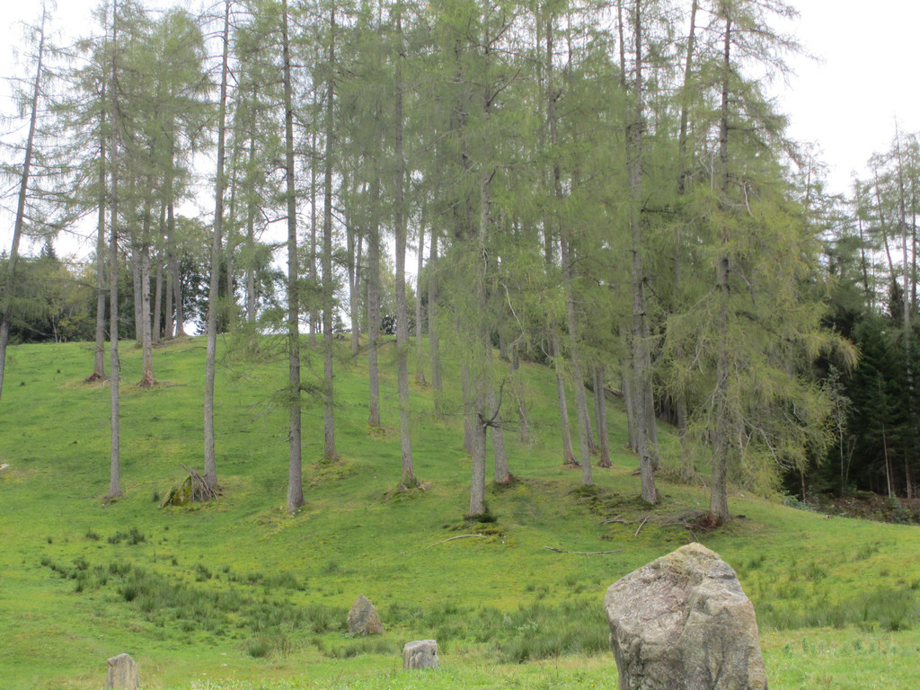 IMG_6794.JPG