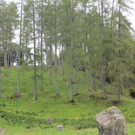 IMG_6794.JPG