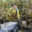 Rund 1000 B__ume galt es zu pflanzen.JPG