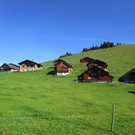 IMG_6331.jpg