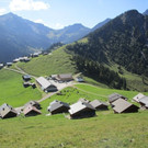 IMG_6351.jpg