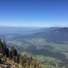 IMG_5945.jpg