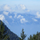 IMG_6358.jpg