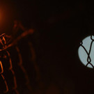 AFP_H97VY.jpg