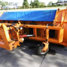 asfi11.jpg